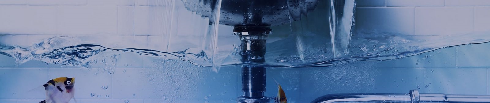 Desentupidora e Limpa Fossa (PARACAMBI/RJ), desentupidoras rj